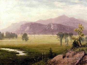 Conway Meadows New Hampshire Albert Bierstadt Oil Paintings